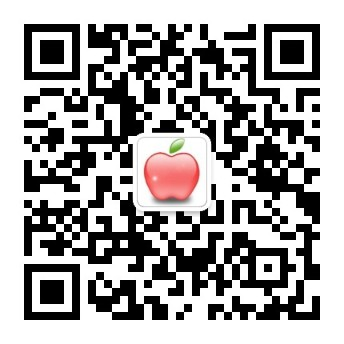 bob网站是什么